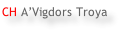 CH A’Vigdors Troya