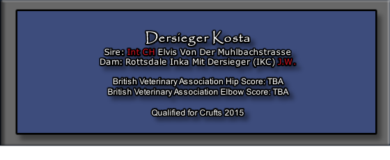 Dersieger Kosta
Sire: Int CH Elvis Von Der Muhlbachstrasse
Dam: Rottsdale Inka Mit Dersieger (IKC) J.W.

British Veterinary Association Hip Score: TBA
British Veterinary Association Elbow Score: TBA

Qualified for Crufts 2015




