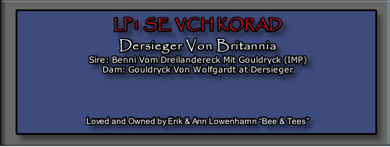 LP1 SE VCH KORAD
Dersieger Von Britannia
Sire: Benni Vom Dreilandereck Mit Gouldryck (IMP)
Dam: Gouldryck Von Wolfgardt at Dersieger 

 


Loved and Owned by Erik & Ann Lowenhamn “Bee & Tees”

