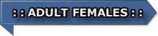 : : ADULT FEMALES : :
