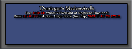 Dersieger’s Mademoiselle 
Sire: Mulit CH Wham V.Fivelzight of Kingfriend (Imp Ned)
Dam: LUX & IR CH Mi Gran Amigo Grace (Imp Esp) ShCM Ir Jnr CH CW12

 



