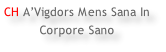 CH A’Vigdors Mens Sana In  Corpore Sano