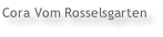 Cora Vom Rosselsgarten