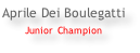 Aprile Dei Boulegatti Junior Champion