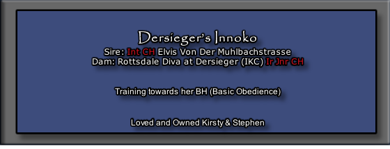 Dersieger’s Innoko
Sire: Int CH Elvis Von Der Muhlbachstrasse
Dam: Rottsdale Diva at Dersieger (IKC) Ir Jnr CH


Training towards her BH (Basic Obedience)


Loved and Owned Kirsty & Stephen

