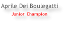 Aprile Dei Boulegatti Junior Champion
