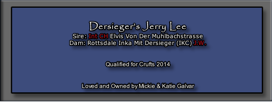 Dersieger’s Jerry Lee
Sire: Int CH Elvis Von Der Muhlbachstrasse
Dam: Rottsdale Inka Mit Dersieger (IKC) J.W.
 

Qualified for Crufts 2014


Loved and Owned by Mickie & Katie Galvar

