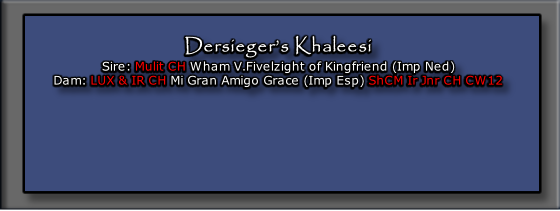 Dersieger’s Khaleesi
Sire: Mulit CH Wham V.Fivelzight of Kingfriend (Imp Ned)
Dam: LUX & IR CH Mi Gran Amigo Grace (Imp Esp) ShCM Ir Jnr CH CW12

 



