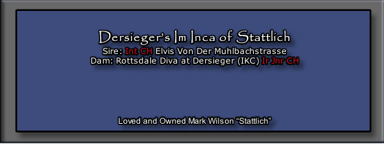 Dersieger’s Im Inca of Stattlich
Sire: Int CH Elvis Von Der Muhlbachstrasse
Dam: Rottsdale Diva at Dersieger (IKC) Ir Jnr CH


 


Loved and Owned Mark Wilson “Stattlich”


