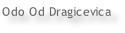 Odo Od Dragicevica
