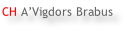 CH A’Vigdors Brabus