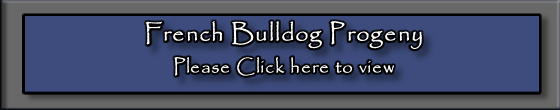French Bulldog Progeny
Please Click here to view
