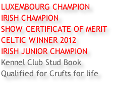 LUXEMBOURG CHAMPION IRISH CHAMPION SHOW CERTIFICATE OF MERIT CELTIC WINNER 2012 IRISH JUNIOR CHAMPION Kennel Club Stud Book Qualified for Crufts for life