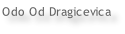 Odo Od Dragicevica
