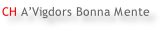 CH A’Vigdors Bonna Mente
