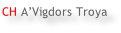 CH A’Vigdors Troya