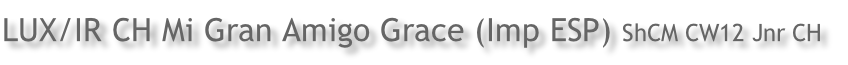 LUX/IR CH Mi Gran Amigo Grace (Imp ESP) ShCM CW12 Jnr CH