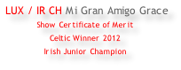 LUX / IR CH Mi Gran Amigo Grace Show Certificate of Merit Celtic Winner 2012 Irish Junior Champion
