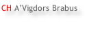 CH A’Vigdors Brabus