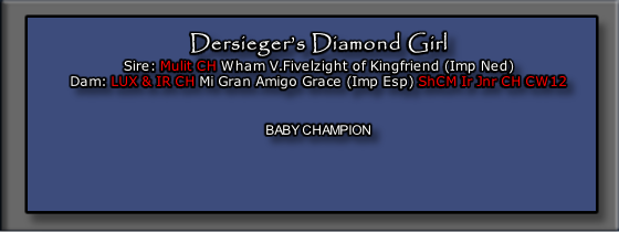 Dersieger’s Diamond Girl 
Sire: Mulit CH Wham V.Fivelzight of Kingfriend (Imp Ned)
Dam: LUX & IR CH Mi Gran Amigo Grace (Imp Esp) ShCM Ir Jnr CH CW12

 
BABY CHAMPION

