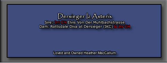Dersieger Iz Asterix
Sire: Int CH Elvis Von Der Muhlbachstrasse
Dam: Rottsdale Diva at Dersieger (IKC) Ir Jnr CH


 


Loved and Owned Heather MacCallum
