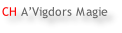 CH A’Vigdors Magie