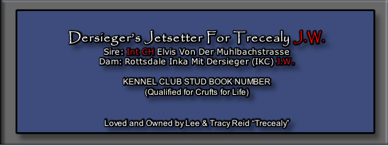 Dersieger’s Jetsetter For Trecealy J.W.
Sire: Int CH Elvis Von Der Muhlbachstrasse
Dam: Rottsdale Inka Mit Dersieger (IKC) J.W.
 
KENNEL CLUB STUD BOOK NUMBER
(Qualified for Crufts for Life)


Loved and Owned by Lee & Tracy Reid “Trecealy”
