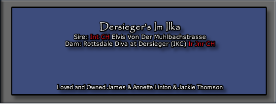 Dersieger’s Im Ilka
Sire: Int CH Elvis Von Der Muhlbachstrasse
Dam: Rottsdale Diva at Dersieger (IKC) Ir Jnr CH


 


Loved and Owned James & Annette Linton & Jackie Thomson
